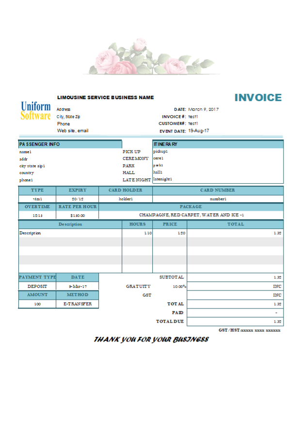 The screen shot for Limousine Service Invoice
